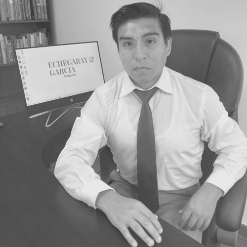Raul Echegaray Rojas García