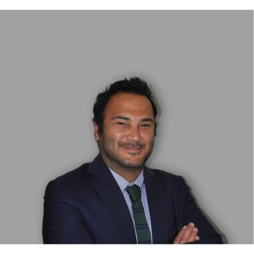 Serdar Can Özaltınlı