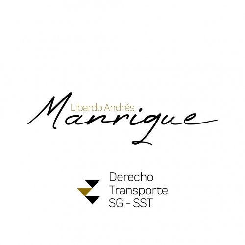 Libardo Andres Manrique S Abogado