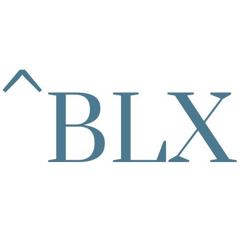 BLX GROUP