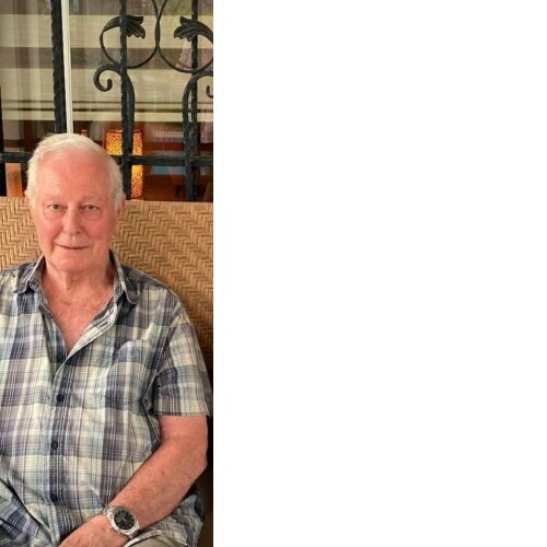 Danışman
