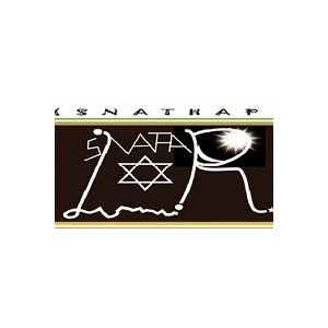 SUN NATHA-ALADE & PARTNERS (SNATHAP)