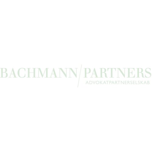 Bachmann & Partners