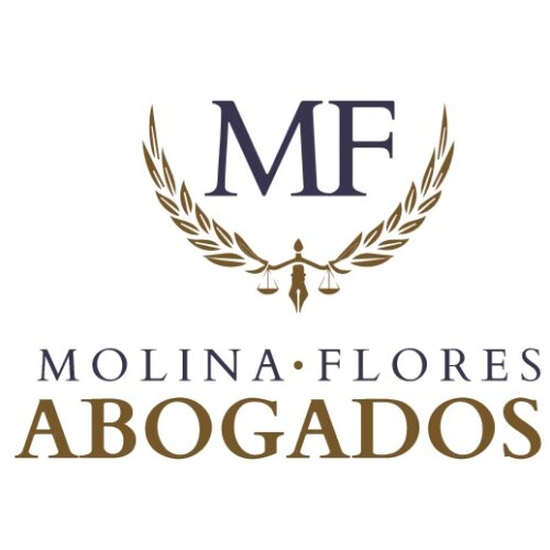 Molina Flores Abogados